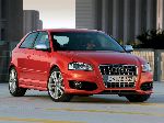  28  Audi () S3 Sportback  5-. (8P/8PA [] 2008 2012)