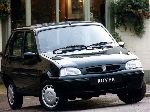   Rover 100  (1  1990 2000)