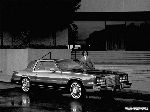  13  Cadillac Eldorado  (11  1991 2002)
